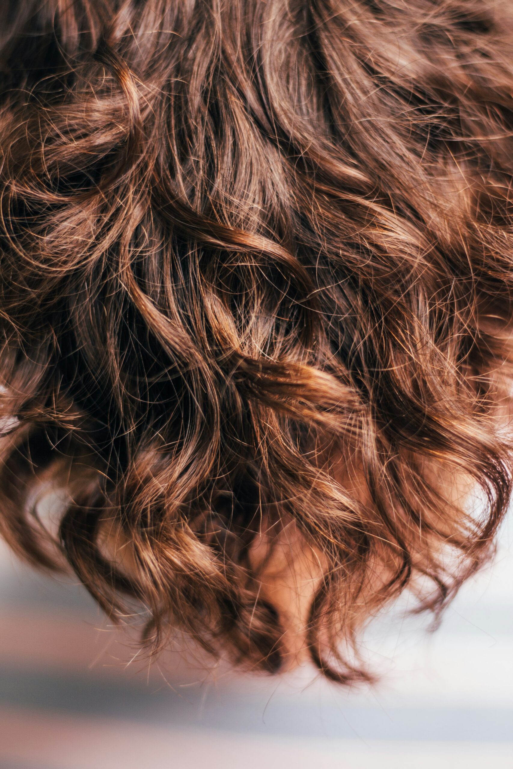 Homecoming Hairstyles Sure to Impress Your Friends