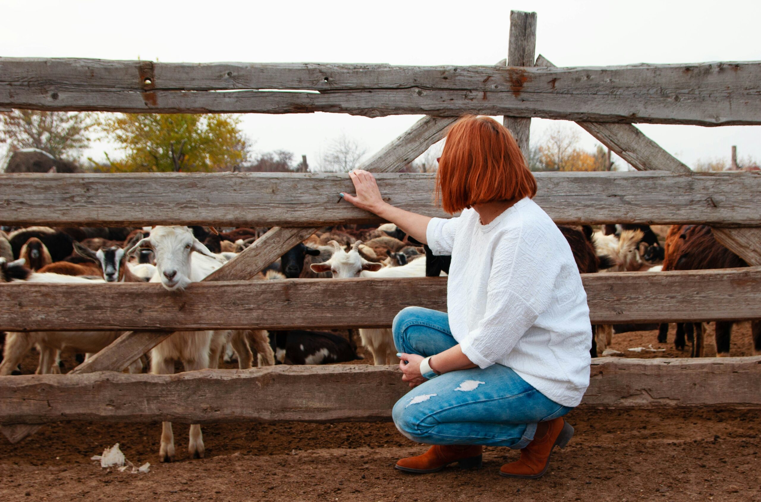 The Ultimate Guide to Country Haircuts for Women: Find Your Perfect Style